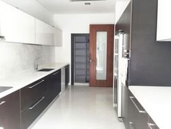 Shamrock Park (D10), Terrace #574052471
